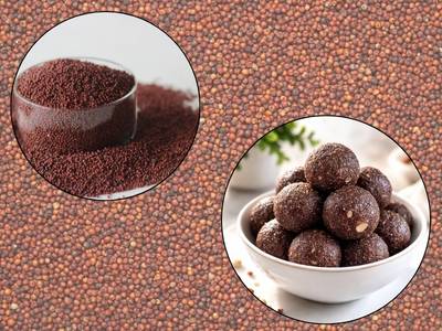 Healthy ragi seed ladoos rich in calcium and iron made with natural ingredients, supporting strong bones and teeth